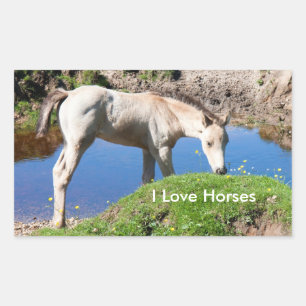 Adesivo Retangular Dun foz de cavalo Stickers