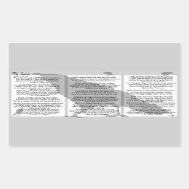 Adesivo Retangular Edgar Allan Poe O Raven