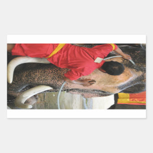 Adesivo Retangular Elefante Bathtime… Ayutthaya, Tailândia