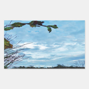 Adesivo Retangular Elegante Holly Christmas, céu azul