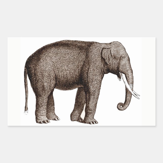 Adesivo Retangular Elephant Sticker (Frente)