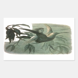 Adesivo Retangular Elf Fairies Elves Moon Night Bird Voando