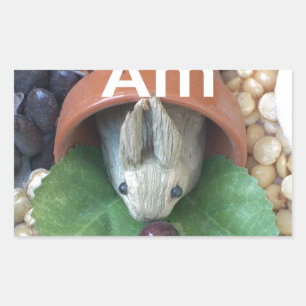 Adesivo Retangular Encantamento de coelho bonito