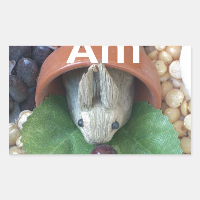 Adesivo Retangular Encantamento de coelho bonito (Frente)