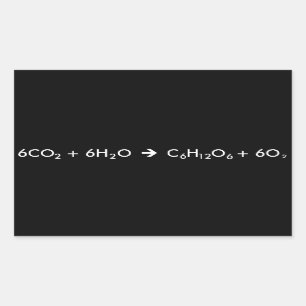 Adesivo Retangular Equação da fotossíntese
