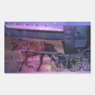 Adesivo Retangular Espaço de Amish