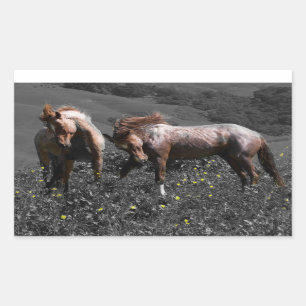 Adesivo Retangular Espato do garanhão