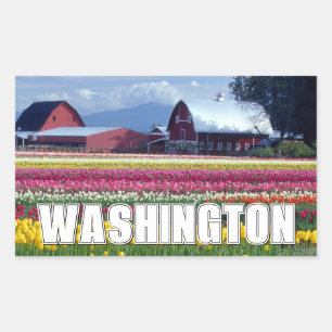 Adesivo Retangular Estado de Washington   Campo de tulipas
