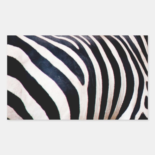 Adesivo Retangular Estrias de zebra (Frente)
