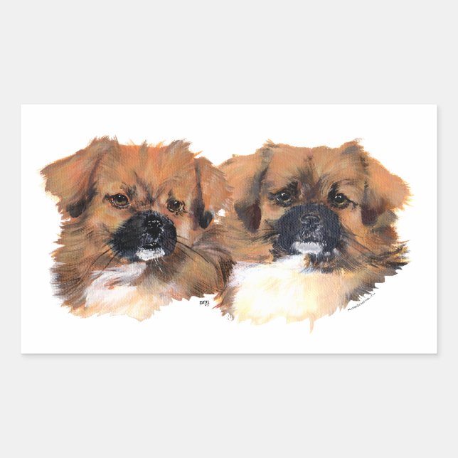 Adesivo Retangular Estudo da Cabeça de Spaniels Tibetanos (Frente)