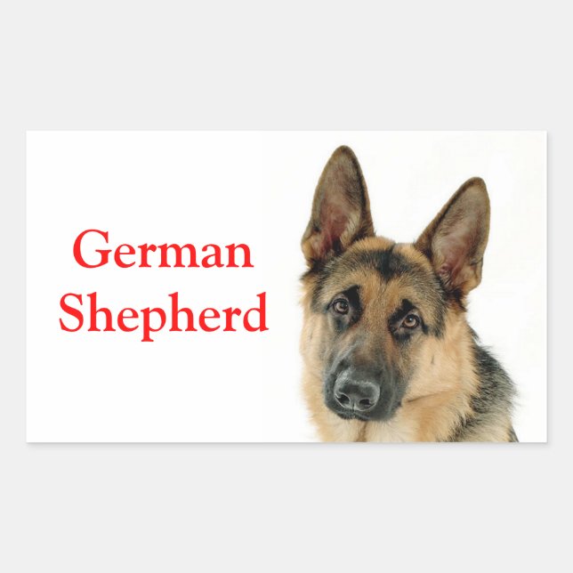 Adesivo Retangular Etiquetas/Etiquetas para cães german shepherd (Frente)