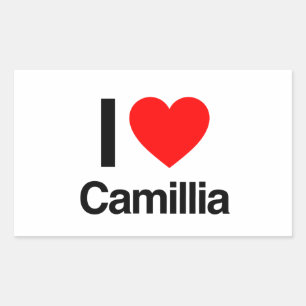 Adesivo Retangular eu amo camillia