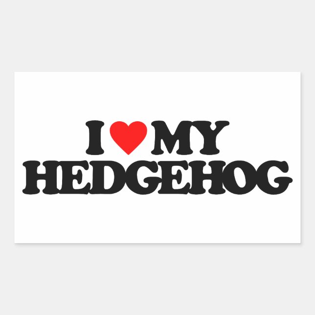 ADESIVO RETANGULAR EU AMO MEU HEDGEHOG (Frente)