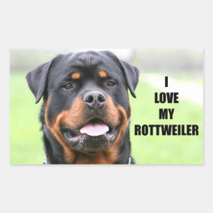 Adesivo Retangular Eu Amo Meu Rottweiler