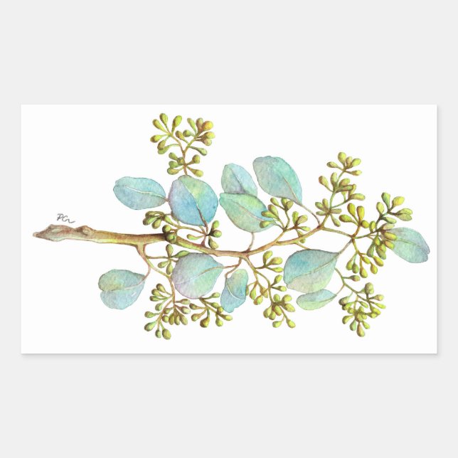 Adesivo Retangular Eucalyptus 01 com sementes (Frente)