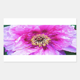 Adesivo Retangular Explosão rosa