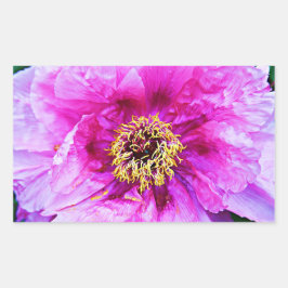 Adesivo Retangular Explosão rosa