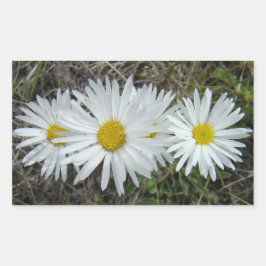 Adesivo Retangular F42 Flores Silvestres Brancas Aster Suave
