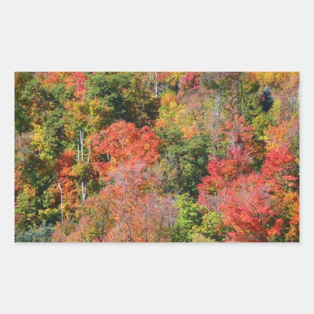 Adesivo Retangular Fall Hillside Colorter Autumn Nature Fotografia (Frente)