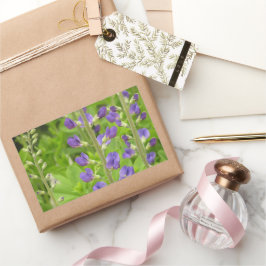 Adesivo Retangular False Indigo (Baptisia australis)