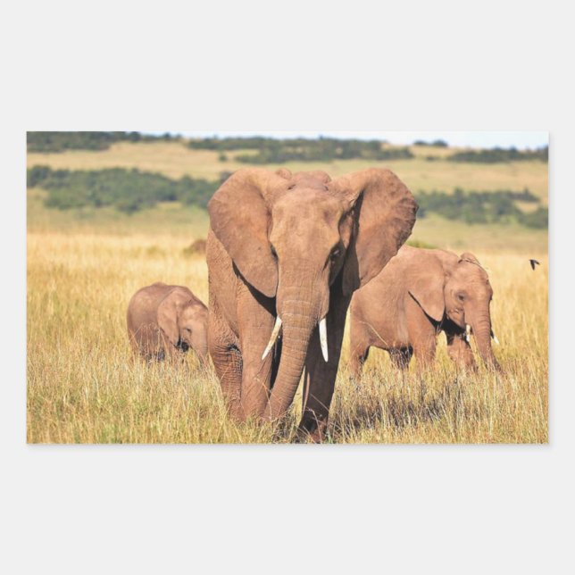 Adesivo Retangular Família elefante nos arbustos (Frente)