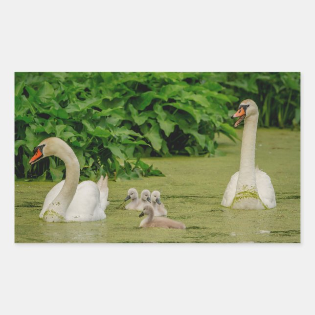 Adesivo Retangular Família Swan (Frente)