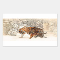 Família Tigres