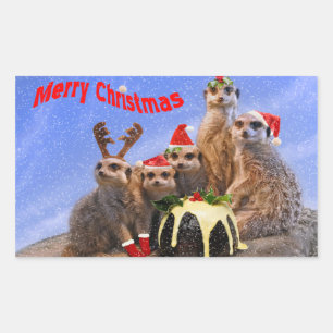 Adesivo Retangular Feliz Meerkats Sticker