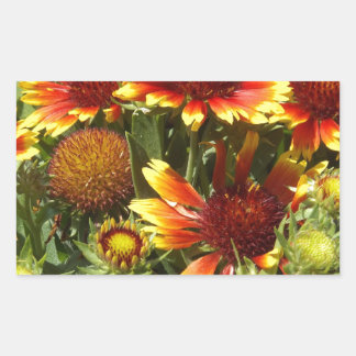Adesivo Retangular Festival de outono de flores silvestres