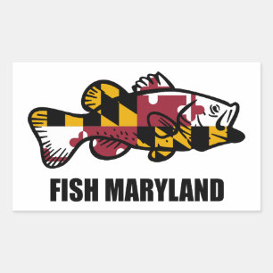 Adesivo Retangular Fish Maryland
