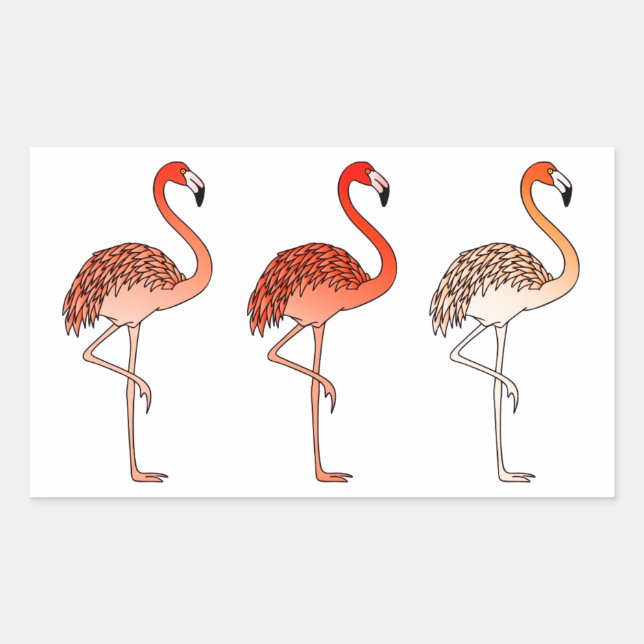 Adesivo Retangular Flamingos Cor-de-coral (Frente)