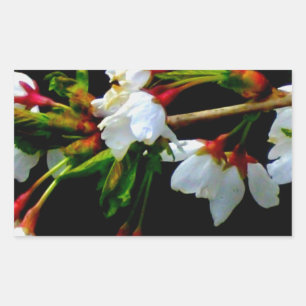 Adesivo Retangular Flor branco branco esbranquiçado florescente