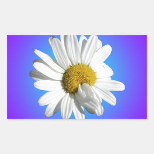 Adesivo Retangular Flor de Margarida Branca Gradiente Azul Roxo Flora