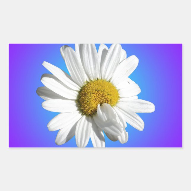 Adesivo Retangular Flor de Margarida Branca Gradiente Azul Roxo Flora (Frente)