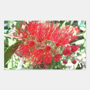 Adesivo Retangular Flor Tropical Vermelho, com escova
