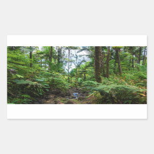 Adesivo Retangular Flora tropical da floresta tropical de el yunque