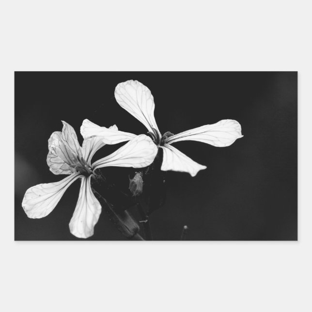 Adesivo Retangular floral preto e branco minimalista (Frente)