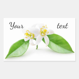 Adesivo Retangular Flores de árvore laranja