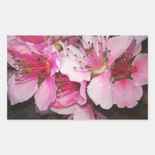Adesivo Retangular Flores de Peach