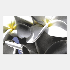 Adesivo Retangular Flores de Plumeria Artística