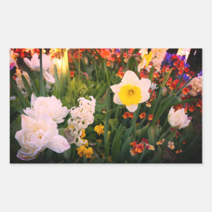 Adesivo Retangular Flores de primavera #1-1