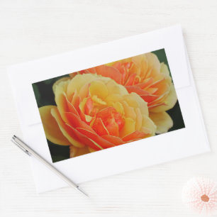 Adesivo Retangular Flores de rosa em Sangue / Laranja / Focos de Enve