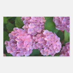 Adesivo Retangular Flores rosa pastel Hortensia hydrangea