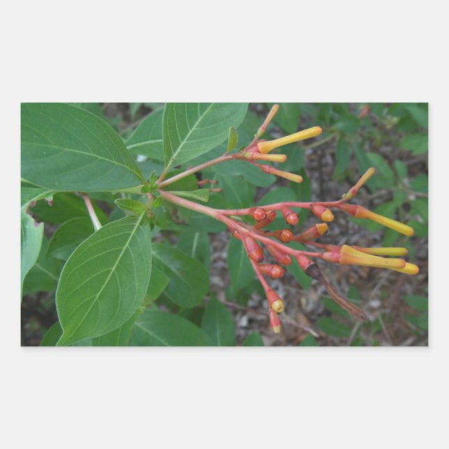 Adesivo Retangular Flores Tropicais Bloqueadas (Frente)