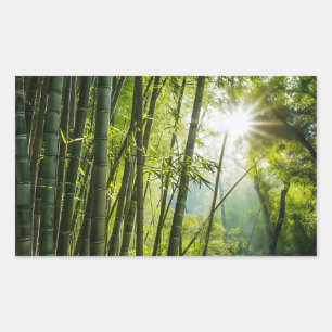 Adesivo Retangular Floresta Bamboo