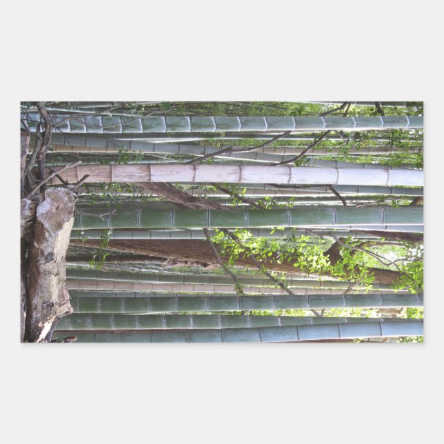 Adesivo Retangular Floresta gigante japonesa de bambu, Sagano, Kyoto, (Frente)