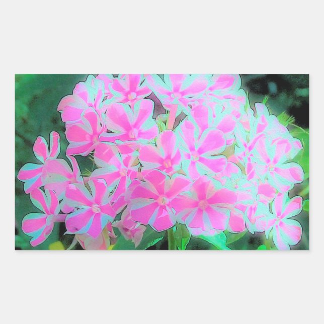 Adesivo Retangular Flox de Jardim de Torção de Peppermint Rosa Quente (Frente)