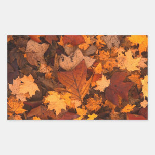 Adesivo Retangular Folhas de Autum