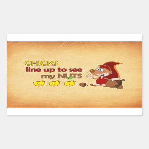 Adesivo Retangular Formação dos pintinhos para ver meus loucos