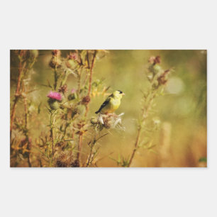 Adesivo Retangular Foto do Goldfinch